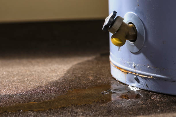 Best 24/7 water damage repair  in Colonial Heights, VA