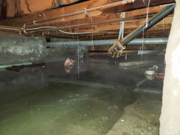 Best Emergency water damage restoration  in Colonial Heights, VA