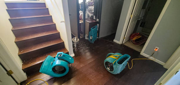 Best Flood damage cleanup  in Colonial Heights, VA