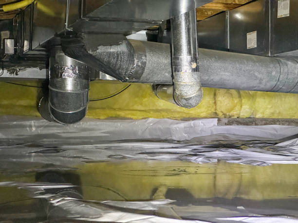 Best Water damage restoration near me  in Colonial Heights, VA