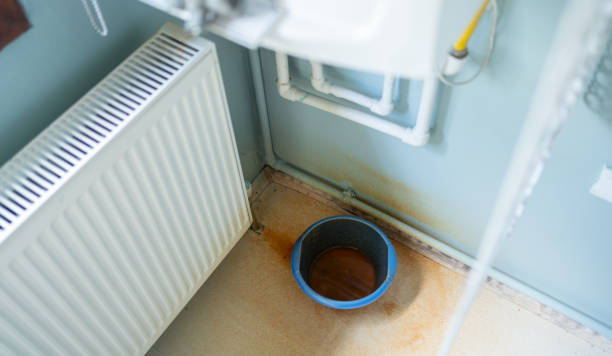 Best Fire Damage Restoration  in Colonial Heights, VA